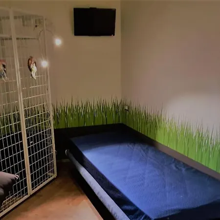 Apartmán Anche Per I Ciclisti Il Giardino Del Viaggiatore